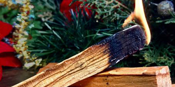 10 things to know about Palo Santo