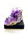 Amethyst Cluster ( 2 )